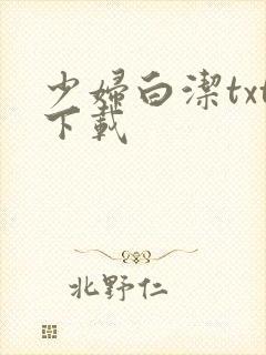 少妇白洁txt下载