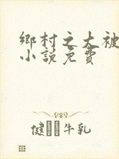 乡村之大被同眠小说免费封面