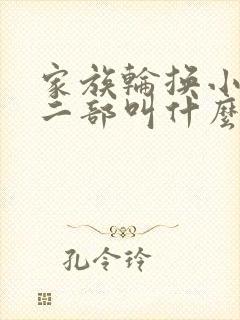 家族轮换小说第二部叫什么名字