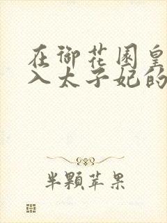在御花园皇上进入太子妃的小说