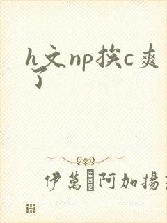 h文np挨c爽了