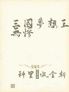 三国梦想王元姬无惨