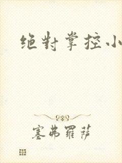 绝对掌控小说