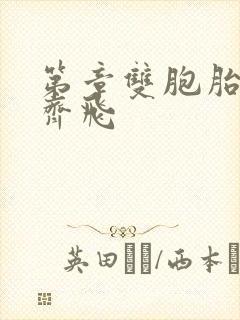 第章双胞胎姐妹齐飞