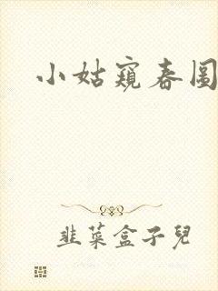 小姑窥春图封面