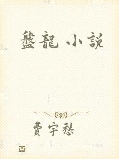 盘龙 小说