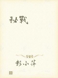 秘战封面