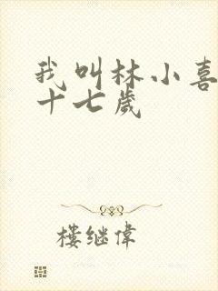 我叫林小喜今年十七岁封面