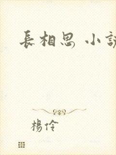 长相思 小说封面