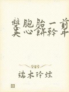 双胞胎一前一后夹心饼干年下