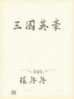 三国英豪封面