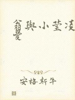 翁与小莹凌晨欢爱封面