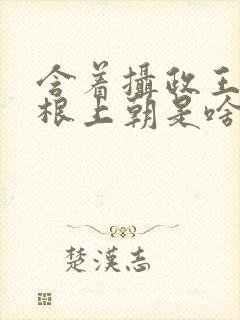 含着摄政王的紫根上朝是啥小说封面