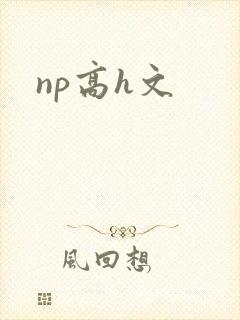 np高h文封面