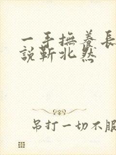 一手抚养长大小说靳北然