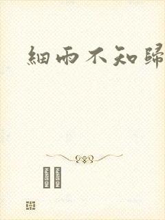 细雨不知归封面