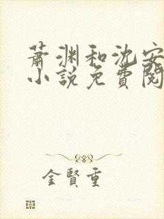 萧渊和沈安安的小说免费阅读封面