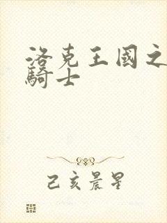 洛克王国之圣龙骑士封面