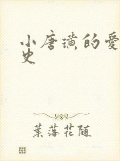 小唐璜的爱情历史