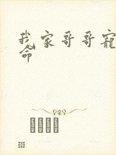 我家哥哥宠妹如命封面