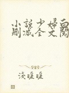 小说少妇白洁无删减全文阅读