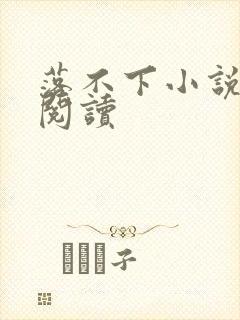 落不下小说免费阅读