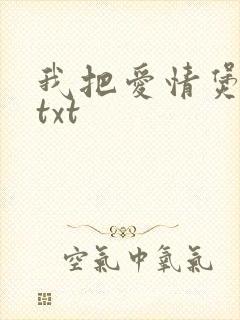 我把爱情煲成汤txt封面