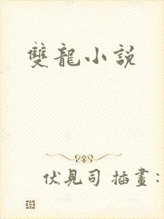 双龙小说