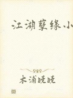 江湖孽缘小说封面