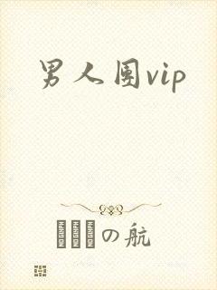 男人团vip