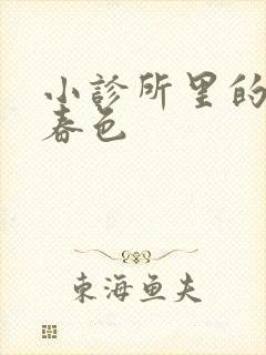 小诊所里的无边春色封面