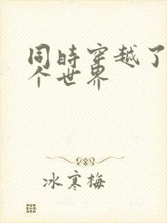 同时穿越了99个世界