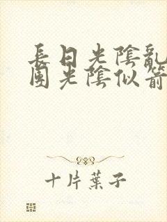 长日光阴乱作一团光阴似箭眇眇