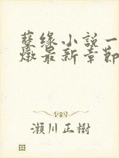 孽缘小说一家乱炖最新章节阅读