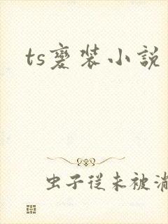 ts变装小说封面