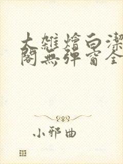 大杂烩白洁笔趣阁无弹窗全本