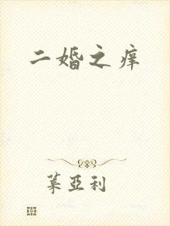 二婚之痒封面