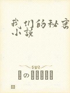 我们的秘密泰剧小说