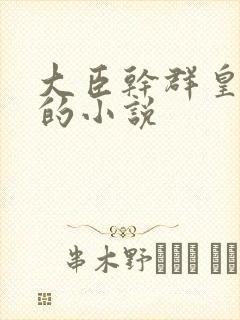 大臣干群皇太后的小说