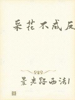 采花不成反被采