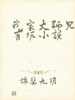 我家大师兄脑子有坑小说