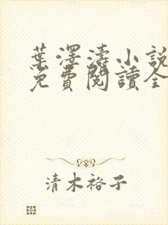 叶泽涛小说全文免费阅读全文封面