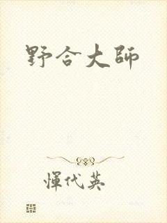 野合大师封面