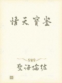 情天宝鉴封面