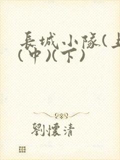 长城小队(上)(中)(下)封面