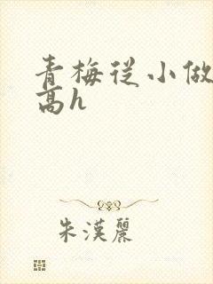 青梅从小做到大高h