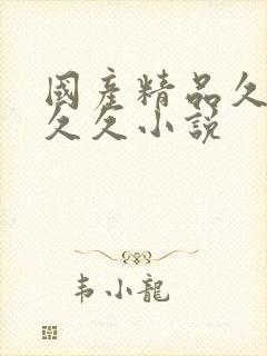 国产精品久久久久久小说