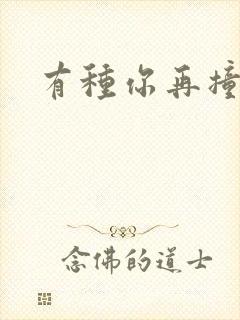 有种你再撞一下