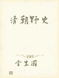 清朝野史封面