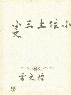 小三上位小说全文